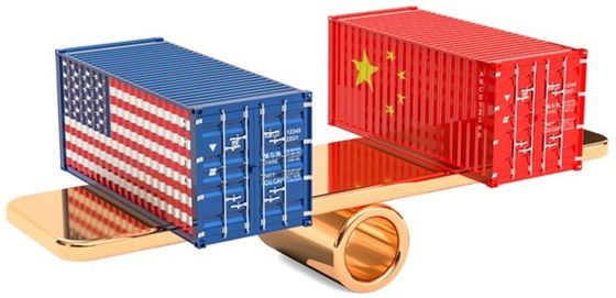 Export Declaration Import Clearance
