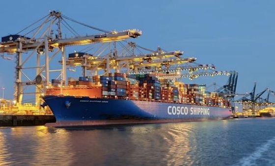 Amazon FBA Walmart Sea Freight Agent