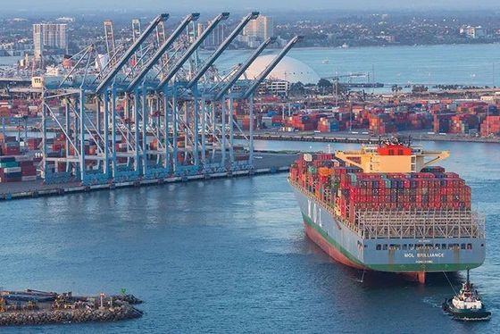 20GP 40GP Shipping Forwarder Economic Amazon Fast Shipping Freight In China USA Canada