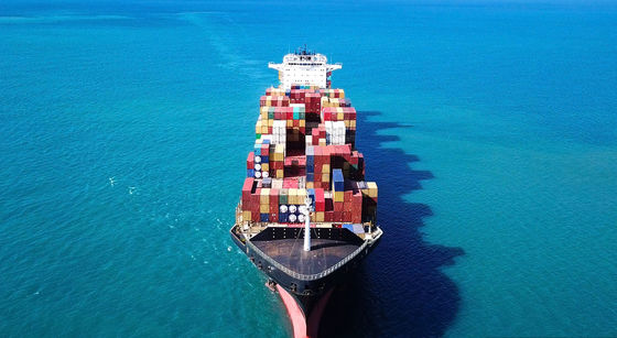 Transportation Customs Brokerage & Clearance USA FBA DDU Amazon Consolidated Service