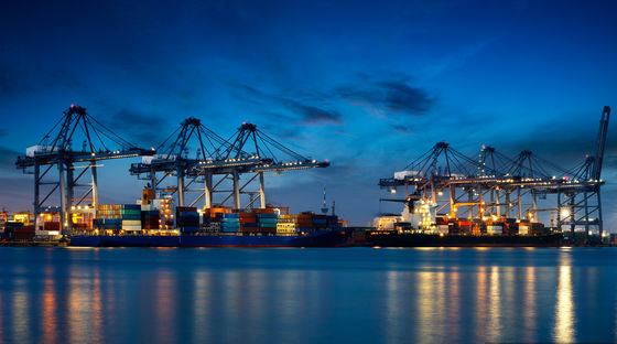 DDU DDP EXW Sea Freight Shipping Professional Ocean Freight Canada