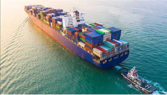 Professional Battery Shipping Sea Freight Agent From China To America