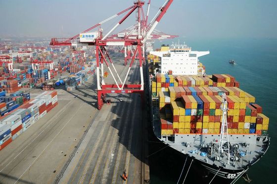 Port To Port Ocean Freight FCL Container Shipping From China To Canada