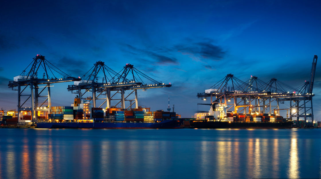DDU DDP EXW Sea Freight Shipping Professional Ocean Freight Canada